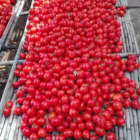 Trullo Lauro Casa vacanze *
